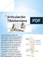 Articulacion Tibiotarsiana