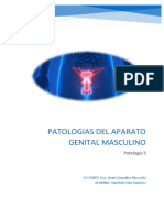 Patologias Del Aparato Genital Masculino