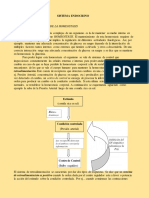 Sistema Endocrino U.U