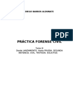Diego Barros Aldunate - Practica Forense Civil . Tomo III