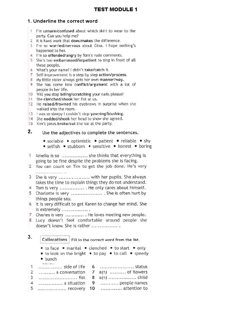 Access 4 TEST MODULE 1 | PDF | Body Language | Communication