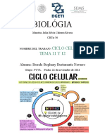 División celular-BIOLÓGIA