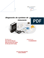 Diagnostic de Système de Gestion de Trésorerie WRD