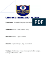 Reflexion y Mapa Conceptual Sobre Plagio, Citas y Referencias APA