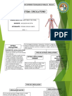 Sistema Circulatorio