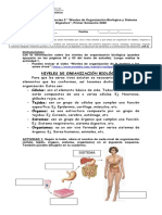 Ciencias 5º 3 Sistema Digestivo