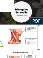 Triangulos Del Cuello
