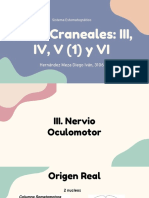 Pares Craneales III, IV, V1 y VI - Hernández Meza Diego Iván, 3106