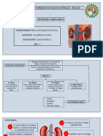 Sistema Urinario