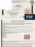 Sistema Tegumentario.