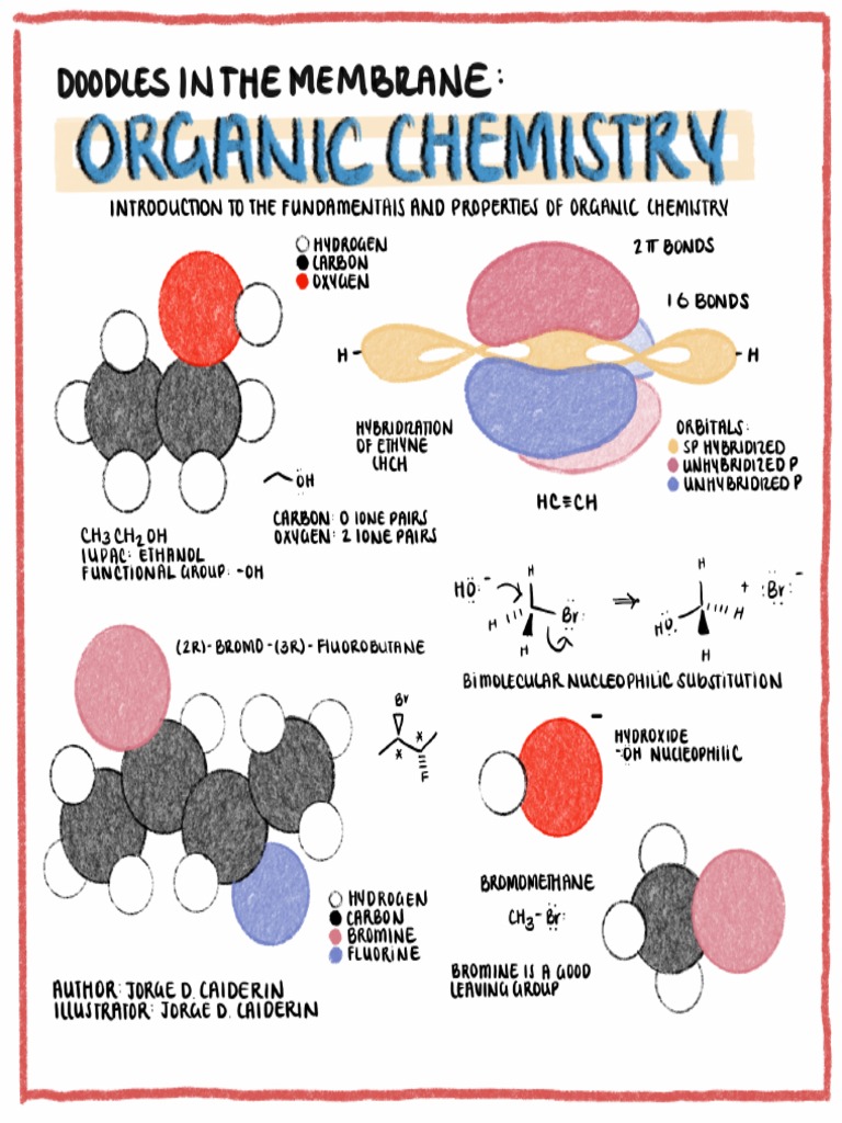 Intro To Organic PDF | PDF