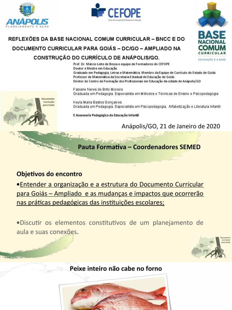 DC-GO Ampliado Conhecer para Implementar - Ensino Fundamental | PDF ...