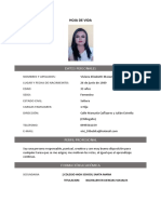 Curriculum Vitae Vivi