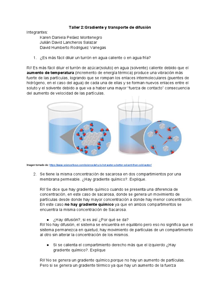 understanding-diffusion-and-chemical-gradients-through-examples-and