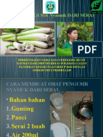 Obat Pengusir Nyamuk Dari Serai