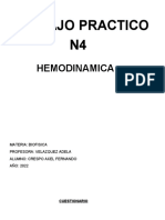 Trabajo Practico N4: Hemodinamica