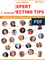 WittyParrot Ebook Expert Prospecting Tips 2014