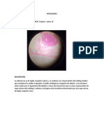 Formato de Informe de Placas Histologicas