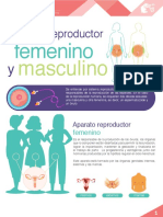 M16 - S3 - Aparato - Reproductor - Femenino - y - Masculino - PDF - Interactivo