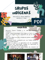 Grupos Indigenas