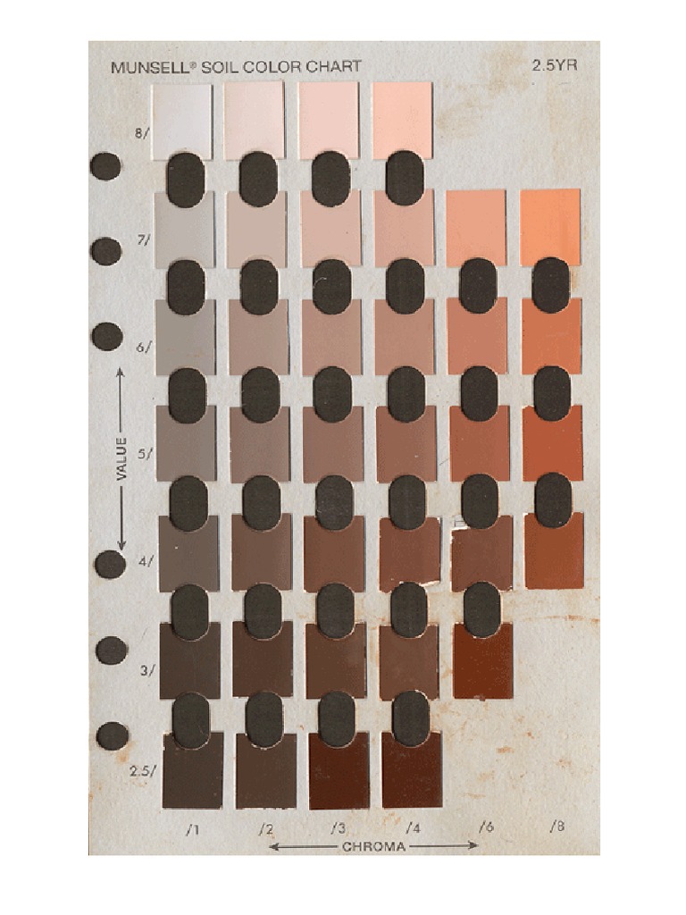 Munsell HUE 2,5YR | PDF