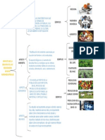 Cuadro Sinoptico de Bologia