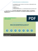 Herramienta Perfil Del Microempresario