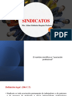 Sindicatos: Definición, Clasificación y Principios Rectores