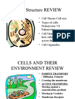 Cell Structure Notes