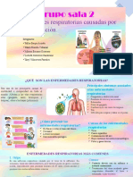 Enfermedades Respiratorias Causadas Por La Contaminacion Grupo 2