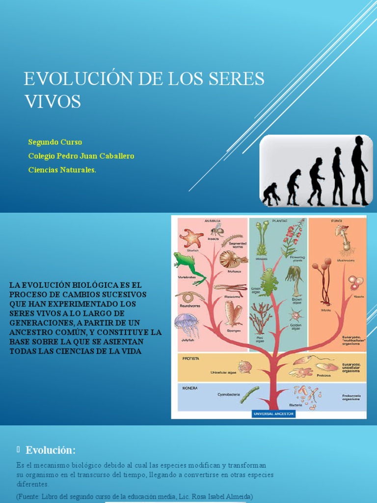 Historia y evidencia de la evolución | PDF | Evolución | Seleccion natural
