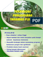 Pisangbuah