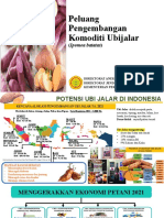 Dir Akabi-Prospek Budidaya Ubijalar 31 Agt 2021