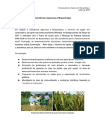 Assistência Japonesa a Moçambique: Desenvolvimento Rural e Infraestruturas