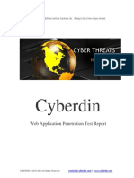 Cyberdin-Example Report