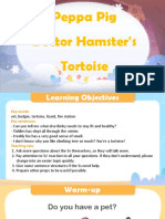 Doctor Hamster's Tortoise