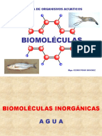 5 Biomoleculas - Agua, Glucidos