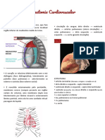 Anatomia Cardiovascular