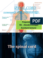 The Spinal Cord Anatomy and Physiology Slideshare