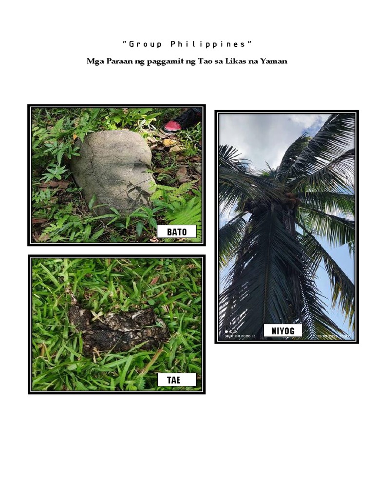 Group Philippines | PDF