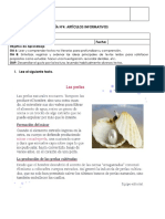 Guía N°4 Articulo Informativo