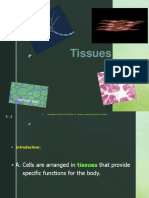 Tissues (Reference)