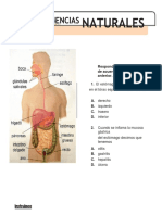 Evaluacion 2 Bimestre Science 5