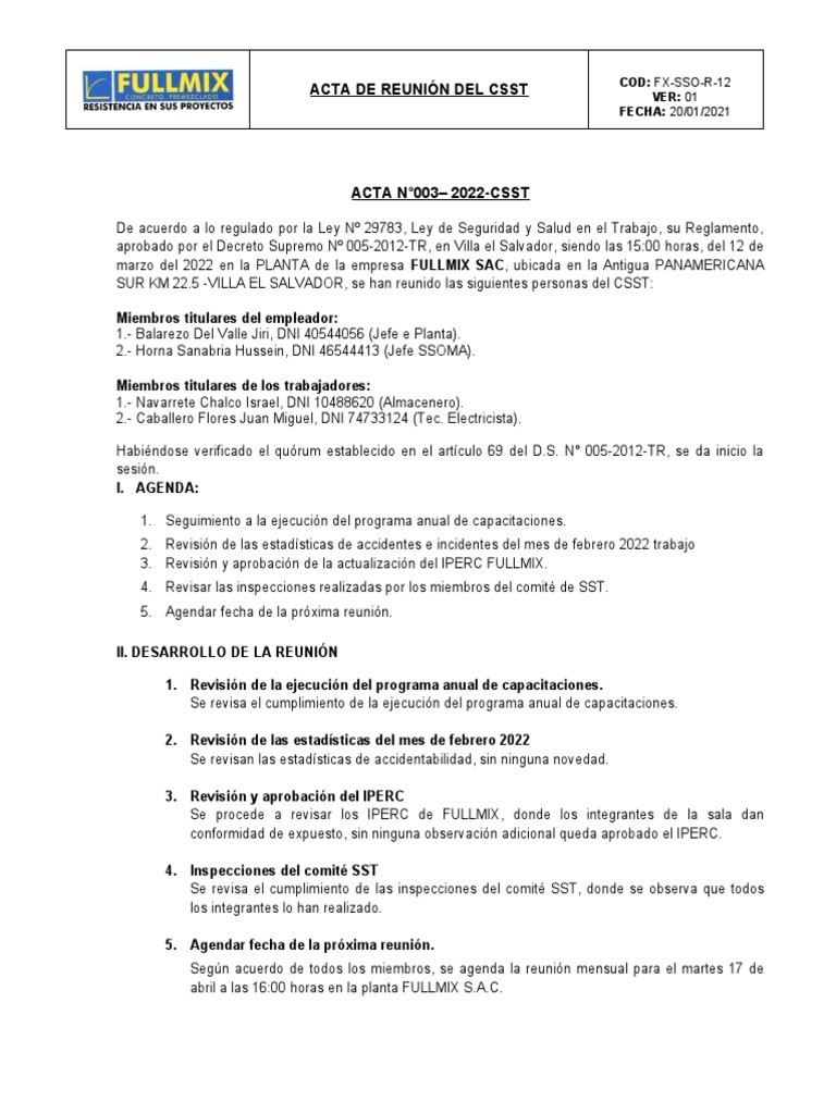 3. ACTA DE REUNION DEL CSST FULLMIX - MARZO | PDF | Gobierno