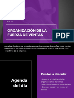 Organización de La Fuerza de Ventas