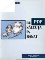 Radu Adriana Cultura Salcuta in Banat 2002 (1)