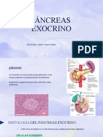 Pancreas Expo