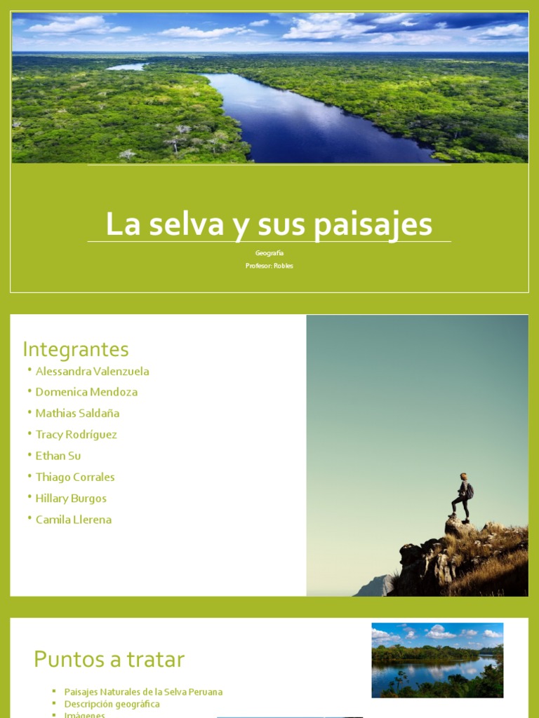 La Selva y Sus Paisajes | PDF | Biogeografia | Ciencias de la Tierra