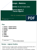 Histologie - Medicina Lucrare Practica 2 - Tractul Digestiv