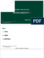 Sistem Digestiv 1: Histologie - Medicină